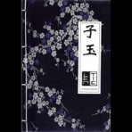 A Folktronica Collection – Lentic – 2009 Limited Edition